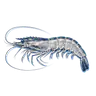 대하
