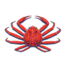 붉은대게(홍게)