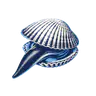 새조개